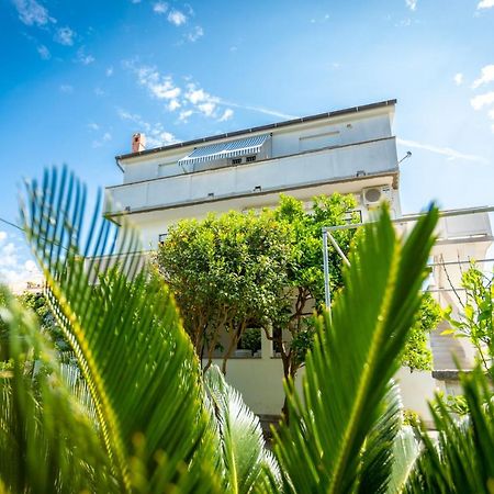 Apartmani Centar Palit المظهر الخارجي الصورة