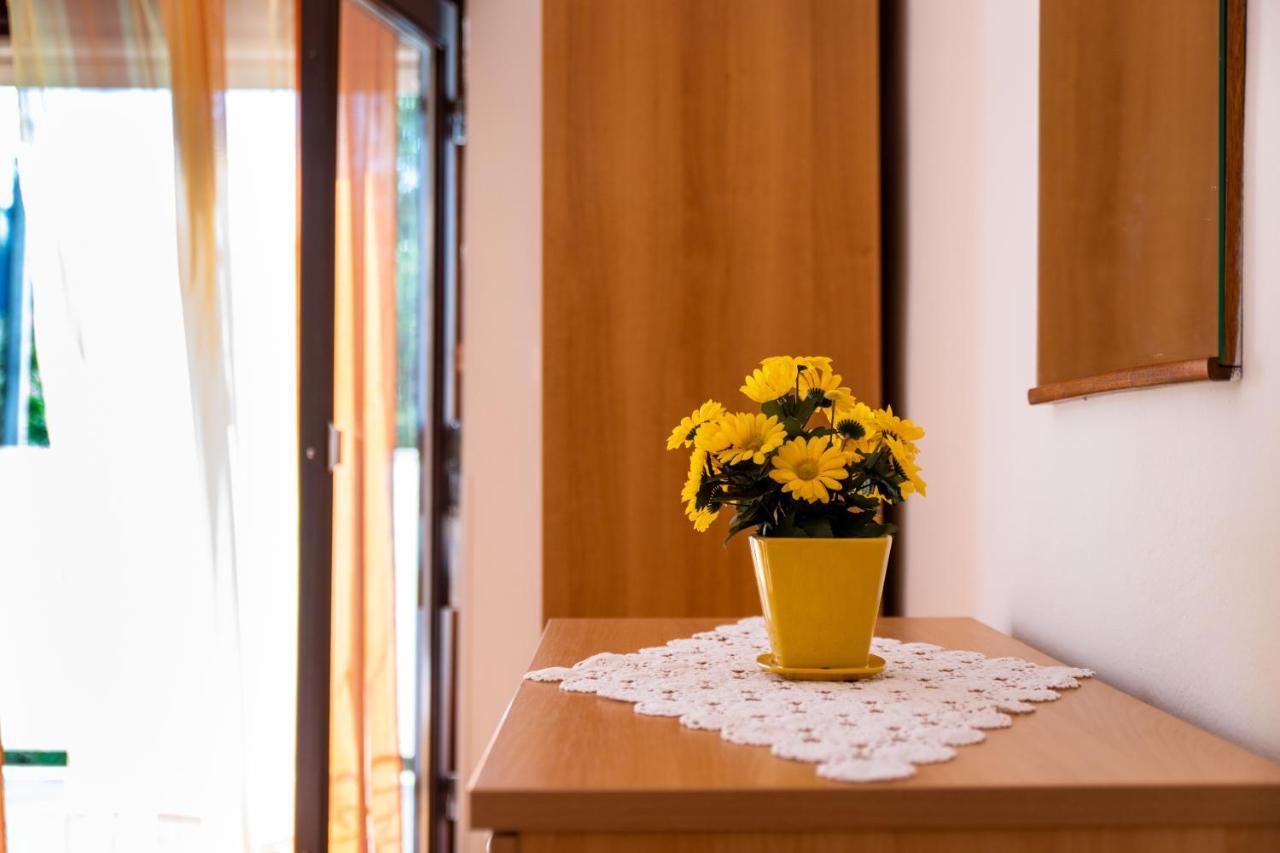 Apartmani Centar Palit المظهر الخارجي الصورة
